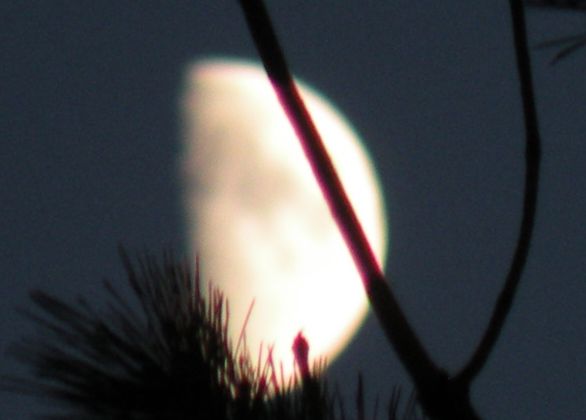 Moon-1.jpg
