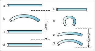 Shape Memory Effects