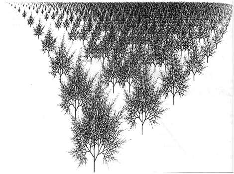 Рис. 6. Фрактальный лес (из книги Michael Barnsley. Fractals everywhere. Boston: Academic Press, 1988)