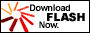 Click to download the FREE Macromedia Flash player plug-in for your web browser.